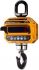 Крановые весы CAS (Caston III) 10 THD (крюк)