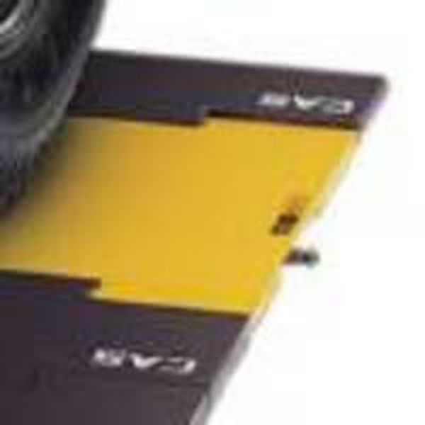 Платформа для CAS RW-15P в сборе