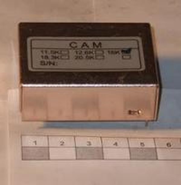 Модуль аналоговый CAM для CAS AD-2,5